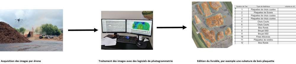 2 - FORESTERIE - POLIDRONE